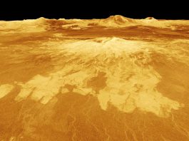 The Latest Twist in the Life-on-Venus Debate? Volcanoes