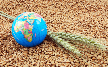 Global Food Security on The Edge as Russia Exits Grain Deal GLOBRL FOOD