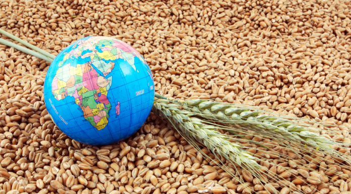 Global Food Security on The Edge as Russia Exits Grain Deal GLOBRL FOOD