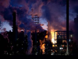 Oil Prices Dip as Demand Outlook Worsens on China woes, OPEC Warning Oil prices