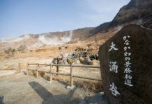 Japan Foreign Reserves Fall For Third Month After Intervention Foreign Reserves