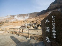 Japan Foreign Reserves Fall For Third Month After Intervention Foreign Reserves