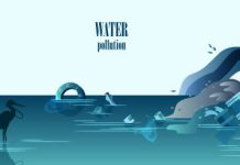 Oil Treads Water Ahead of OPEC+ Panel Meeting, PCE Inflation Data Oil treads