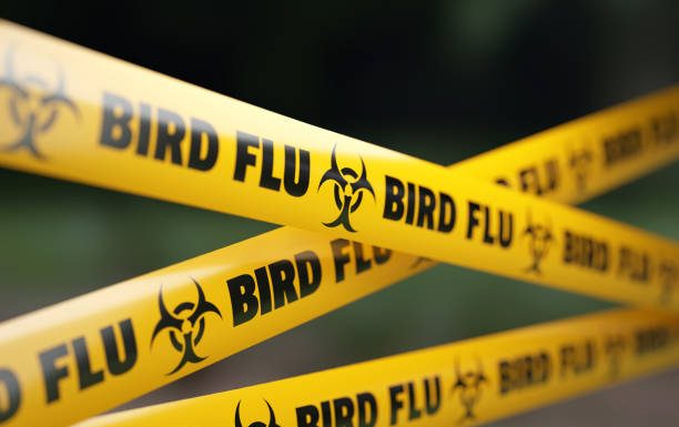 Vaccine Makers Prep Bird Flu Shot For Humans ‘Just in Case’; Rich Nations Lock in Supplies