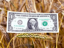 Asia FX Dips After Chinese Imports Disappoint, Dollar Rises