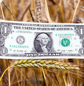 Asia FX Dips After Chinese Imports Disappoint, Dollar Rises