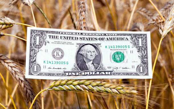 Asia FX Dips After Chinese Imports Disappoint, Dollar Rises