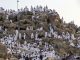 Millions of Muslims Gather at Mount Arafat for Annual Hajj Pilgrimage