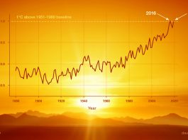 Economic Impact of Rising Temperatures: Examining the Effects and Solutions