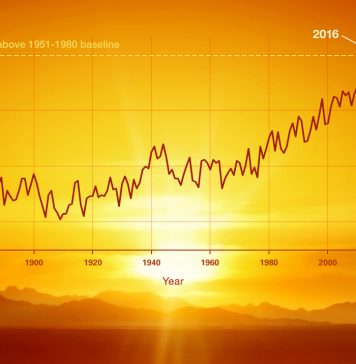 Economic Impact of Rising Temperatures: Examining the Effects and Solutions