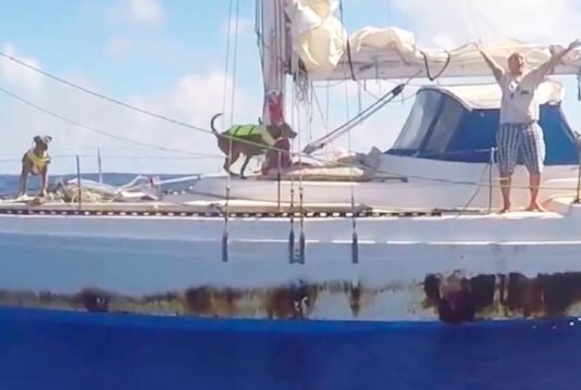 Woman Rescued 80km from Japan Beach After 36 Hours