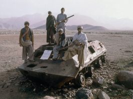 Taliban Government Bans Mixed Martial Arts in Afghanistan
