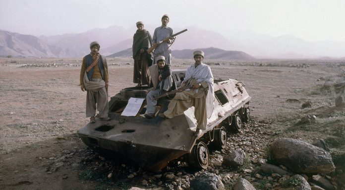 Taliban Government Bans Mixed Martial Arts in Afghanistan