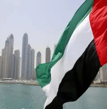 UAE’s Visa Amnesty: Key Benefits and Support for Pakistanis