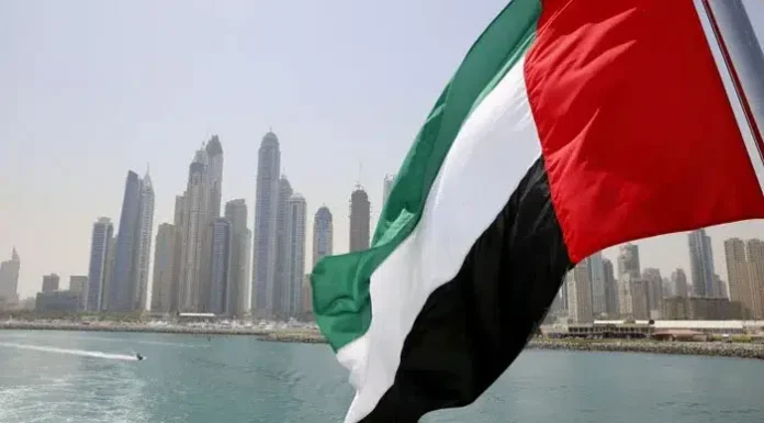 UAE’s Visa Amnesty: Key Benefits and Support for Pakistanis