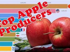“Which Country Produces the Most Apples? Global Apple Production Leader Revealed”