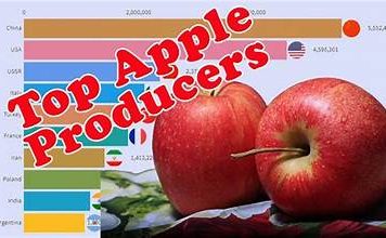 “Which Country Produces the Most Apples? Global Apple Production Leader Revealed”