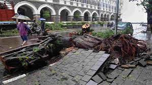 IMD Issues Heavy Rain Alert Across Several Indian States